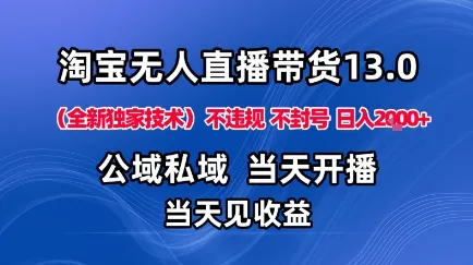 淘宝无人直播13.0，公域私域技术，不封号，不违规布局下半年旺季赛道，日入1K+(独家技术)【揭秘】_学通网创