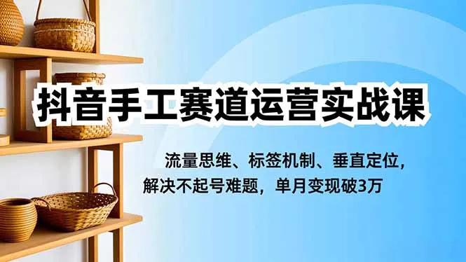 抖音手工赛道运营实战课，流量思维、标签机制、垂直定位，解决不起号难题，单月变现破3万_学通网创