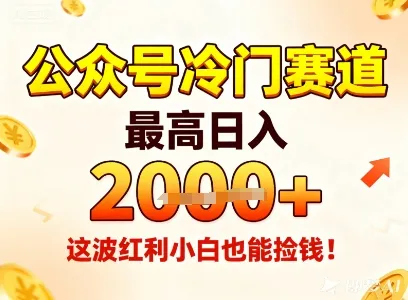 公众号冷门赛道，最高日入1k+，这波红利小白也能捡钱！_学通网创