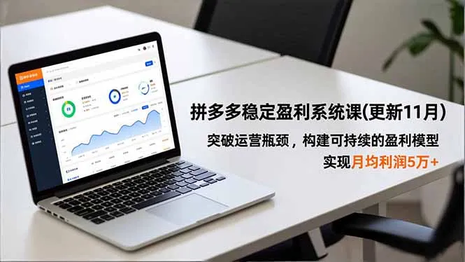 拼多多稳定盈利系统课(更新11月_学通网创