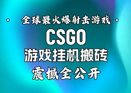 【年底大揭秘】基于全球最火爆的射击CSGO游戏挂G搬砖，日入5张+，震撼公开_学通网创