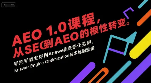 AEO 1.0 课程，从SEO到AE0的基命性转变，手把手教会你用AnswerEngineOptimization技术抢回流量(更新)_学通网创