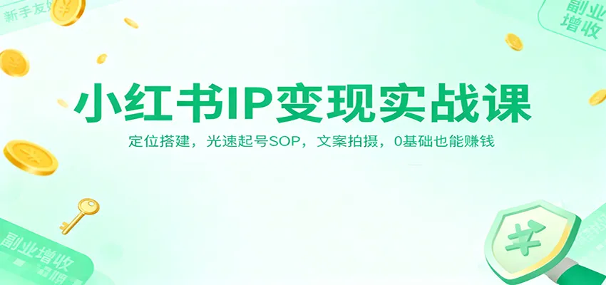 小红书IP变现实战课：定位搭建，光速起号SOP，文案拍摄，0基础也能赚钱_学通网创