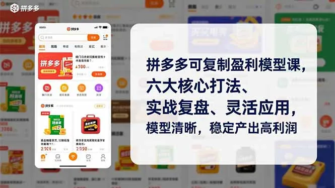 拼多多可复制盈利模型课，六大核心打法、实战复盘、灵活应用，模型清晰，稳定产出高利润_学通网创