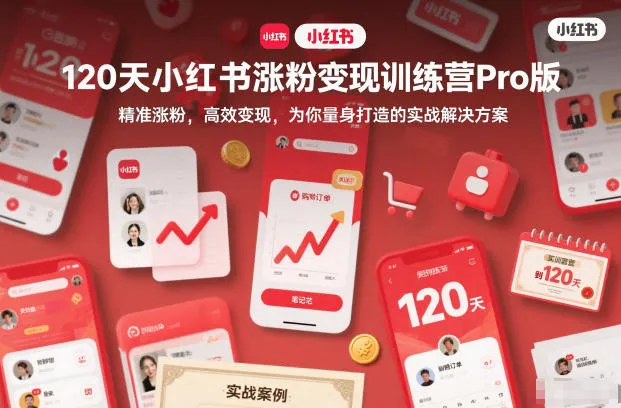 120天小红书涨粉变现训练营Pro版，精准涨粉，高效变现，为你量身打造的实战解决方案_学通网创