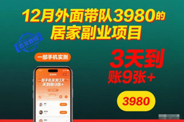 12月外面带队3980的居家副业项目，一部手机实测3天到账9张+，首发教程【揭秘】_学通网创