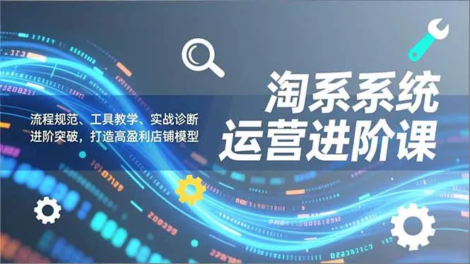 淘系系统运营进阶课2.0,流程规范、工具教学、实战诊断,进阶突破,打造高盈利店铺模型_学通网创