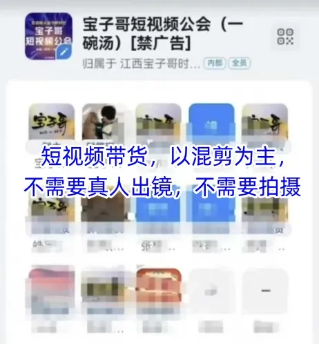 宝子哥头部团队短视频带货，以混剪为主，不需要真人出镜，不需要拍摄【更新12月】_学通网创